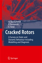 Nicol Bachschmid, Nicoló Bachschmid, Paol Pennacchi, Paolo Pennacchi, Ezio Tanzi - Cracked Rotors