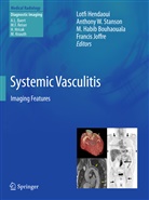 M. Habib Bouhaouala, M Habib Bouhaouala et al, Lotfi Hendaoui, Francis Joffre, Anthony W. Stanson, Anthon W Stanson... - Systemic Vasculitis
