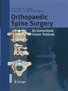 Cakir, B Cakir, B. Cakir, W. Käfer, T. Mattes, T Mattes et al... - Orthopaedic Spine Surgery