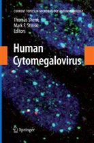 Thoma E Shenk, Thomas E Shenk, F Stinski, F Stinski, Thomas E. Shenk, Mark F. Stinski - Human Cytomegalovirus