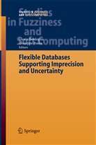 Glori Bordogna, Gloria Bordogna, Psaila, Psaila, Giuseppe Psaila - Flexible Databases Supporting Imprecision and Uncertainty