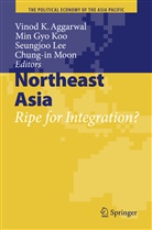 Vinod K. Aggarwal, Mi Gyo Koo, Min Gyo Koo, Min Gyo Koo, Seungjoo Lee, Seungjoo Lee et al... - Northeast Asia