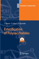 Thoma Heinze, Thomas Heinze, Andreas Koschella, Ti Liebert, Tim Liebert - Esterification of Polysaccharides