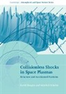 David Burgess, David (Queen Mary University of London) Burgess, David (Queen Mary University of London) S Burgess, David Scholer Burgess, Burgess David, Manfred Scholer... - Collisionless Shocks in Space Plasmas