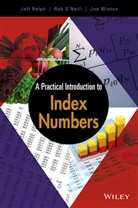 &amp;apos, Rob Winton neill, Ro O'Neill, Rob O'Neill, J Ralph, Jef Ralph... - Practical Introduction to Index Numbers