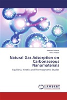 Maede Delavar, Maedeh Delavar, Nima Nabian - Natural Gas Adsorption on Carbonaceous Nanomaterials