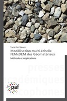 Trung-Kien Nguyen, Nguyen-t - Modelisation multi echelle
