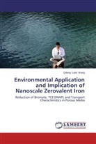 Qiliang 'Luke' Wang - Environmental Application and Implication of Nanoscale Zerovalent Iron