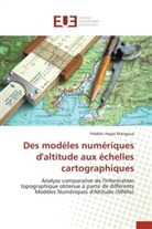 Frédéric Happi Mangoua, Mangoua-f - Des modeles numeriques d altitude