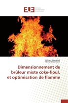 Otmane Hammani, Hicha Maoujoud, Hicham Maoujoud - Dimensionnement de bruleur mixte