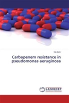 Mai Zafer - Carbapenem resistance in pseudomonas aeruginosa
