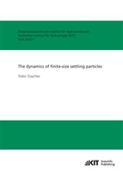 Todor Doychev - The dynamics of finite-size settling particles