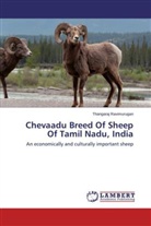 Thangaraj Ravimurugan - Chevaadu Breed Of Sheep Of Tamil Nadu, India