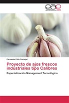Fernando Félix Carbajal - Proyecto de ajos frescos industriales tipo Calibres