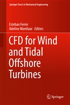Esteba Ferrer, Esteban Ferrer, Montlaur, Montlaur, Adeline Montlaur - CFD for Wind and Tidal Offshore Turbines