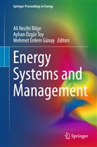 Ali Nezihi Bilge, Mehmet Erdem Günay, Mehmet Erdem Günay, Ayha Özgür Toy, Ayhan Özgür Toy, Ayhan Özgür Toy... - Energy Systems and Management