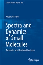 Robert W Field, Robert W. Field - Spectra and Dynamics of Small Molecules