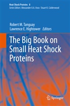 E Hightower, E Hightower, Lawrence E. Hightower, Rober M Tanguay, Robert M Tanguay, Robert M Tanguay... - The Big Book on Small Heat Shock Proteins
