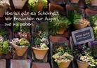 Überall gibt es Schönheit. Wir brauchen nur Augen, sie zu sehen