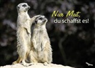 Nur Mut, du schaffst es!