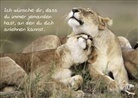 Ich wünsche dir, dass du immer jemanden hast, an den du dich anlehnen kannst