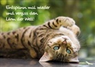 Shutterstock/HelleM - Entspann mal wieder und vergiss den Lärm der Welt!