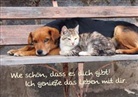 Shutterstock/Jiri Vaclavek - Wie schön, dass es dich gibt! Ich genieße das Leben mit dir