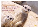 Ich wünsche dir, dass du immer jemanden hast, an den du dich anlehnen kannst