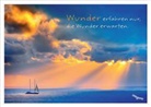 Wunder erfahren nur, die Wunder erwarten