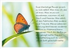 Eine stachelige Raupe sprach zu sich selbst: Was man ist, das ist man. Man muss sich annehmen, wie