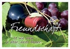 Freundschaft ist wie Wein - je älter, desto besser