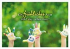 Ein fröhliches Auge sieht das Leben bunt!