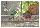 Wann kommst du? Ich brauche dringend ein paar Streicheleinheiten!