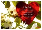 Liebe ist das einzige, was wächst, indem wir es verschwenden. Ricarda Huch