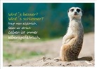 Wird's besser? Wird's schlimmer? Fragt man alljährlich. Seien wir ehrlich: Leben ist immer
