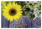 Alles Gute!