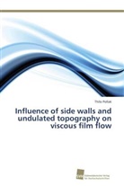 Thilo Pollak - Influence of side walls and undulated topography on viscous film flow