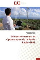 Mohamed Charba, Mohame Zegmout, Mohamed Zegmout - Dimensionnement et optimisation