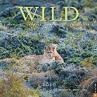 Thomas D. Mangelsen, Thomas D. Mangelsen - Wild 2016