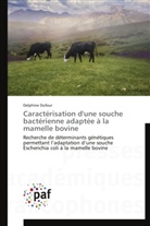 Delphine Dufour, Dufour-d - Caracterisation d une souche