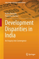 Arpit Banerjee, Arpita Banerjee, Pravat Kumar Kuri - Development Disparities in India