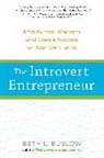 Beth Buelow - The Introvert Entrepreneur