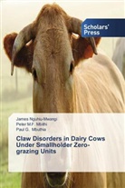 Peter M Mbithi, Peter M F Mbithi, Peter M. F. Mbithi, Peter M.F. Mbithi, Pa Mbuthia, Paul G. Mbuthia... - Claw Disorders in Dairy Cows Under Smallholder Zero-grazing Units