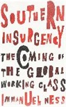 Immanuel Ness, Ness Immanuel - Southern Insurgency
