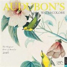 New York Historical Society, New-York Historical Society, New-York Historical Society (COR) - Watercolors Wall Calendar 2016