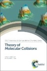 Gabriel G Balint-Kurti, Gabriel G (University of Bristol Balint-Kurti, Gabriel G Palov Balint-Kurti, Gabriel G. Balint-Kurti, Gabriel G. Palov Balint-Kurti, Alexander Palov... - Theory of Molecular Collisions
