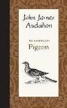 John Audubon, John James Audubon - The Passenger Pigeon