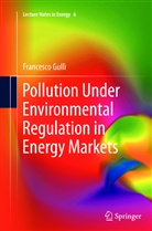 Francesco Gulli, Francesco Gullì - Pollution Under Environmental Regulation in Energy Markets