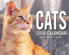 Andrews Mcmeel Publishing, Andrews McMeel Publishing (COR), Andrews McMeel Publishing LLC - Cats 2016 Calendar