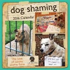 Dogshaming Com, Pascale Lemire, Pascale/ Dogshaming.com (COR) Lemire - Dog Shaming 2016 Calendar
